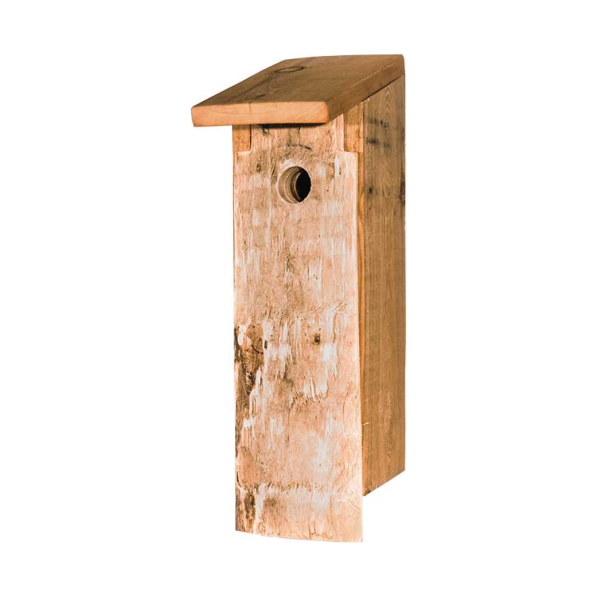 Nestkast Specht, productfoto op witte achtergrond