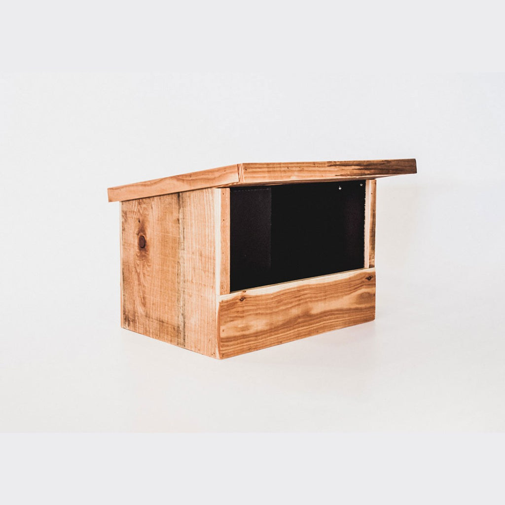 Nestkast Torenvalk, sfeerbeeld
