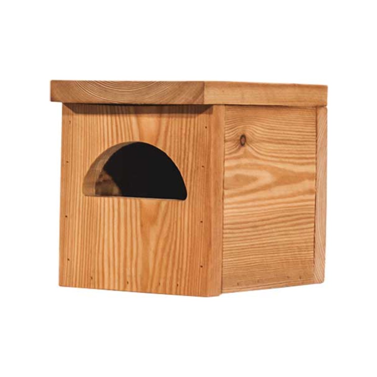 Nestkast Zwarte roodstaart, productfoto op witte achtergrond