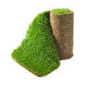 Premium Grasmatten - graszoden kopen in België