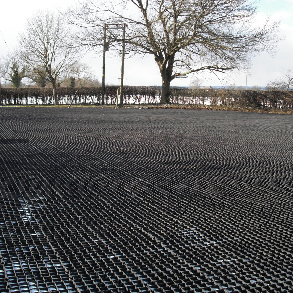 Dalles Rite Pave posées