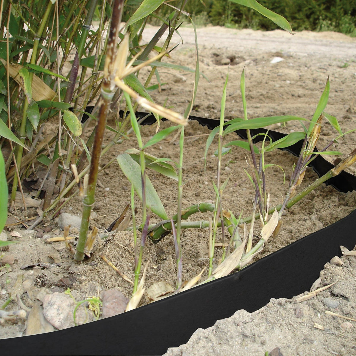 RootBarrier 420 UV rond bamboe geplaatst
