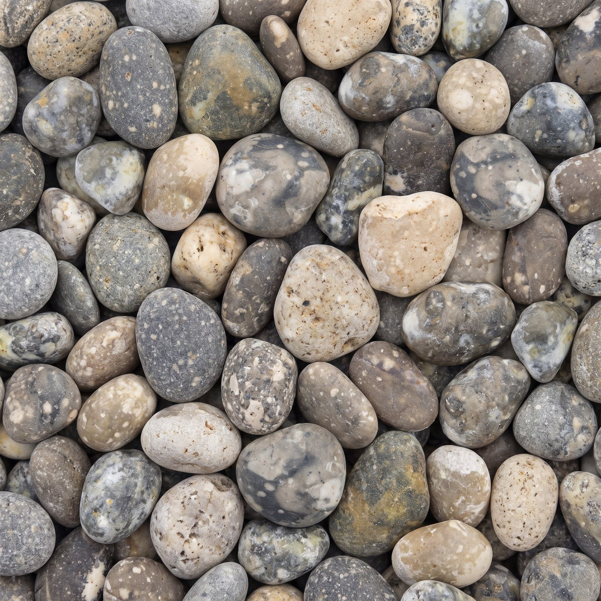 Silistone Strandkeien, los gestort